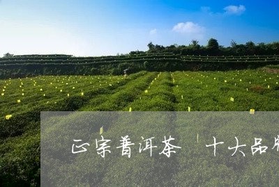 正宗普洱茶 十大品牌排行榜/2023052995027